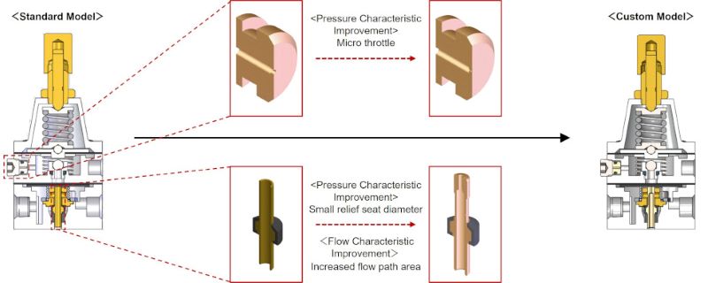 Customization Details